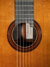 Roland Scharbatke 杉/ハカランダ単板　新品同様_5