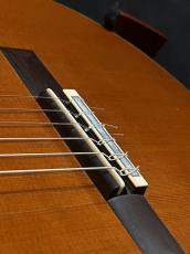 Roland Scharbatke 杉/ハカランダ単板　新品同様_9