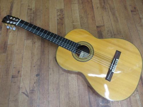 Takamine 10E