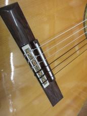 Takamine 10E_11