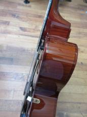 Ibanez AFC-151_9