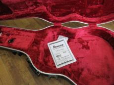 Ibanez AFC-151_12
