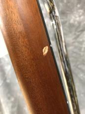 YAMAHA SLG200S_8