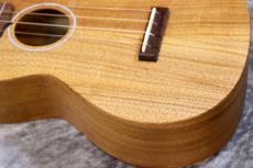 Martin C1K Uke #39973 【コンサート】【ハワイアンコア単板】【現物写真】【2026年入荷品】【池袋在庫品】_5