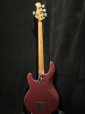 MUSIC MAN Stingray Special_5