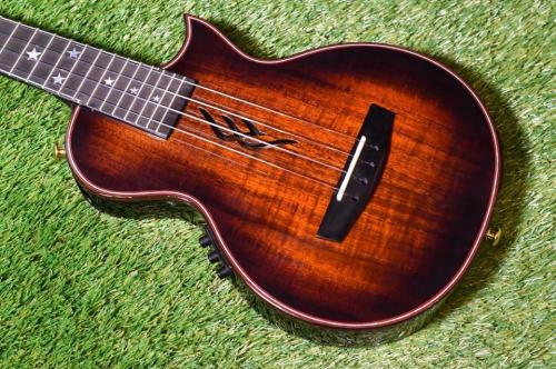 Enya E6 FE Solid Koa Tenor