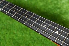 aNueNue UB200 MOON BIRD Baritone_7