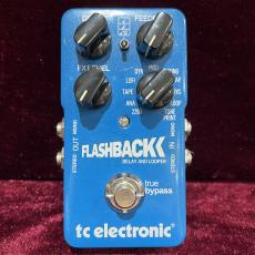 tc electronic Flashback Delay&Looper_2