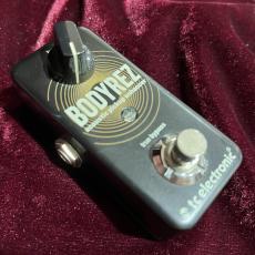 tc electronic BODYREZ_8