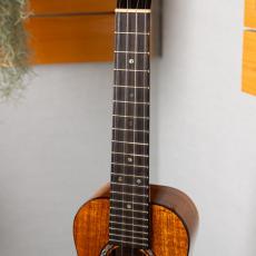 Kanile'a KPA-C/CORE_5
