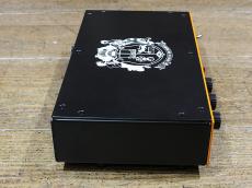 Orange Pedal Baby 100_7