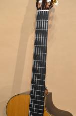 Taylor NS72ce　2008年製_6