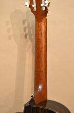 Taylor NS72ce　2008年製_10