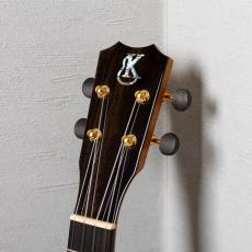 Kanile'a KPA-T/CORE_6