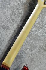 FUJIGEN BCST100RBD Candy Apple Red #D240340【3.48kg】【国産エントリーモデル!】_7