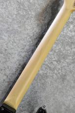 FUJIGEN BCST100RBD Black #G240435【軽量3.38kg!】【国産エントリーモデル!】_7