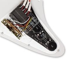 EMG DG20【オンラインストア限定】_3