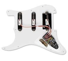 EMG SL20【オンラインストア限定】_2