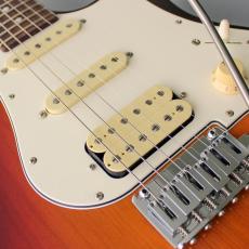 FUJIGEN 【ローン金利0%】EOS2-AL-R -VSB (Vintage Sunburst)-【オンラインストア限定】_5