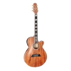Takamine TSP178ACK N -Natural-【ローン金利0%】【オンラインストア限定】