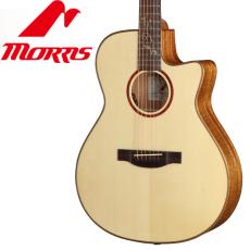 Morris R-93 -HAND MADE PREMIUM SERIES-《エレアコ》【オンラインストア限定】