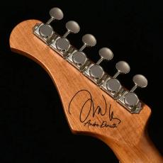 Bacchus TAC24AD-FMH RSM/M CS (Cherry Sunburst)《アンドレ・ディヌス シグネイチャー》【オンラインストア限定】_8