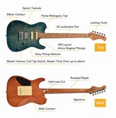 Bacchus TAC24AD-FMH RSM/M CS (Cherry Sunburst)《アンドレ・ディヌス シグネイチャー》【オンラインストア限定】_10