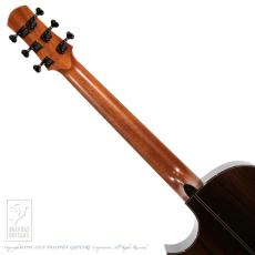 ASTURIAS Tiny GS proto._7