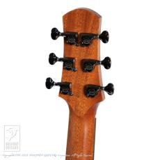 ASTURIAS Tiny GS proto._9