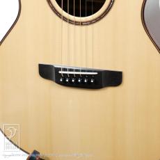 ASTURIAS Tiny GS proto._12