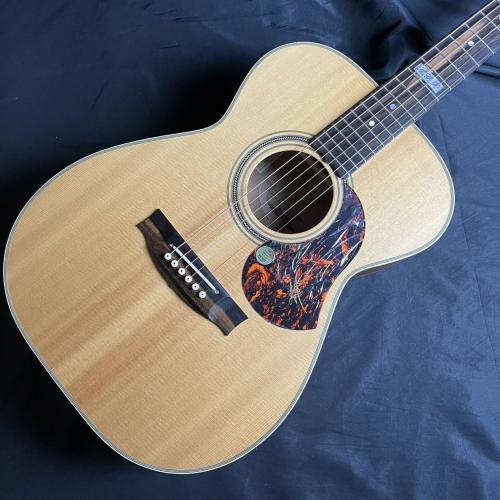 Maton EBG808TE