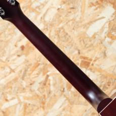 Gibson Hummingbird Studio EC_7