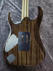 Ibanez RG8620AH 「BQZ (Black Quartz)」 「現物写真」_4