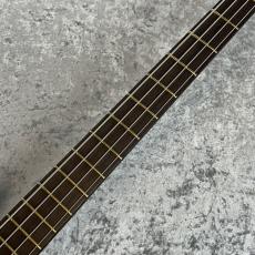 Warwick Streamer LX Jazzman 【3.82kg】_5