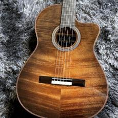Cordoba Fusion 12 Cinnamon Burst【特価】【エレガット】