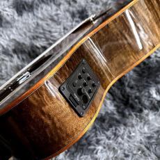 Cordoba Fusion 12 Cinnamon Burst【特価】【エレガット】_8