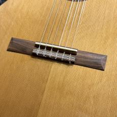 Cordoba C5-CE NAT -IBERIA Series-【特価】【エレガット】_3