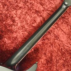 E-II HORIZON NT-II Tiger Eye Amber Fade_6
