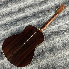 YAMAHA LL16 A.R.E w/Lyric_9