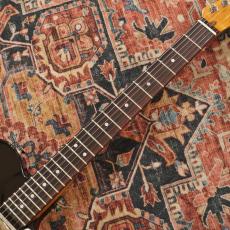 Fender Limited Edition American Cabronita Special Telecaster Rosewood Fingerboard / Black 【限定モデル】_5