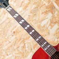 Epiphone Inspired by Gibson Hummingbird Standard EC CS_6