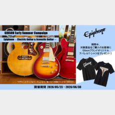 Epiphone Inspired by Gibson Hummingbird Standard EC CS_10