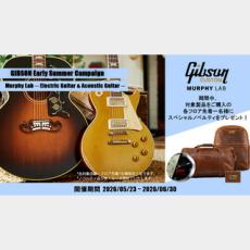 Gibson 1963 Dove Light Aged_10