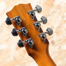 Gibson Hummingbird Standard EC_9