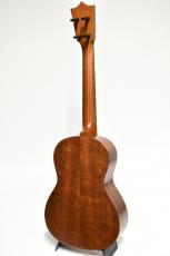 Martin 1T IZ Tenor Uke #2900465【イズラエルモデル】_4