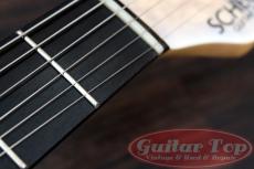 SCHECTER SD-2-24-AS-VTR BLDS/E '22_5