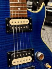 Aria Pro II 【中古特価市】 PE-2500 -SBL (See-through Blue)- 2015年製 【Rare!】【良杢!】【MADE IN JAPAN】_7