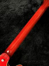 KING SNAKE Smith -Dirty Cherry-【2.45kg】【日本製】_7