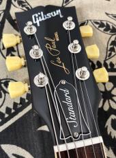 Gibson Les Paul Standard 50s -Gold Top- 【#234650015】【4.31kg】_10