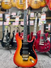 Provision STC-SLM #004-FM -CSB- 2022年製【Maple Body!】【Made In Japan】_2